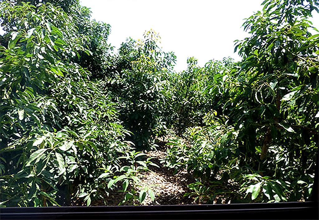 Casa Villa Tenerife Las Galletas Ngoại thất bức ảnh